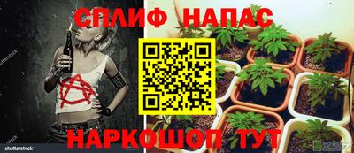 эйфоретик Апшеронск